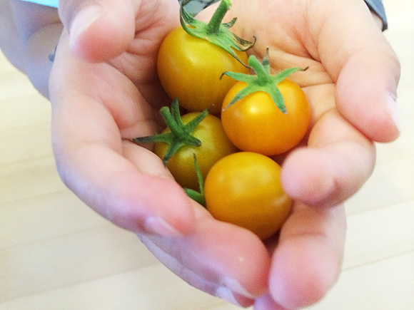 homegrown-tomatoes