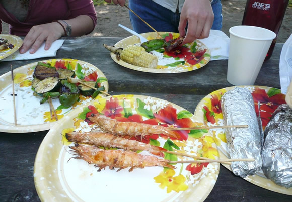 outdoor-picnic-3