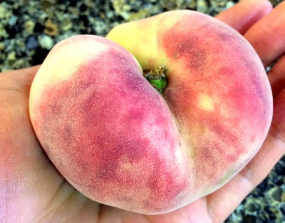 donut-peach