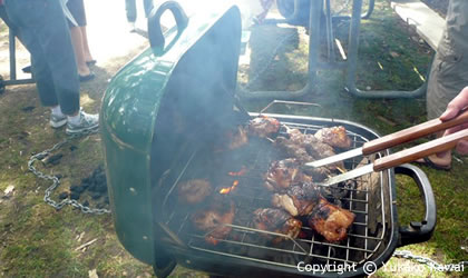 outdoor-picnic-bbq