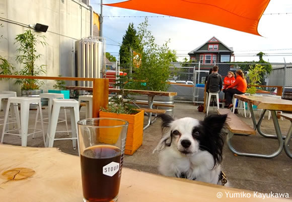 犬と一緒に乾杯!