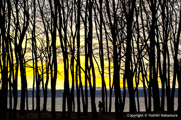 fall-winter-scenic-view-7