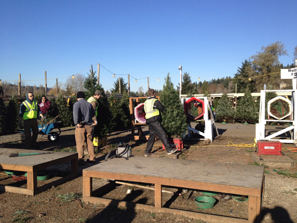 christmas-tree-cutting-03