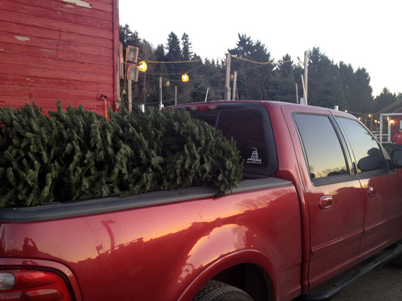 『Tree hunting』トゥリーハンティング　LED・赤いトラック・もみの木