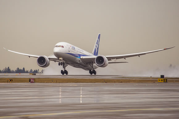ana-boring-787-100000