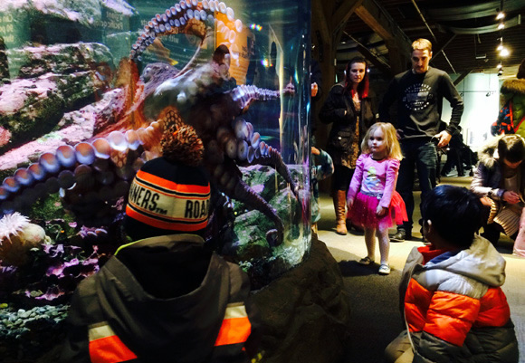 Seattle Aquarium