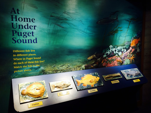 シアトル水族館 Seattle Aquarium Junglecity Com シアトル水族館 Seattle Aquarium Junglecity Com