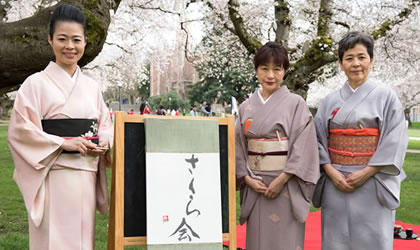 sakura-kai-2016-420