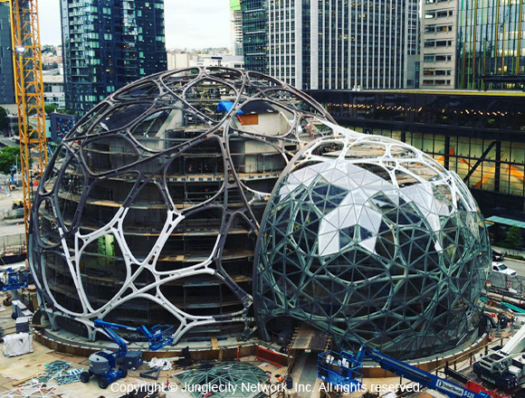 amazon-biospheres-1