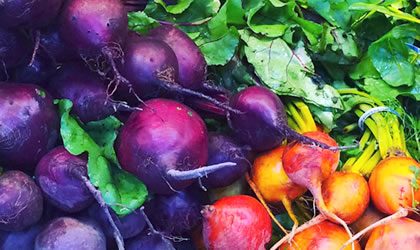 beets-420