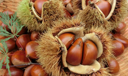 chestnuts-2016-420
