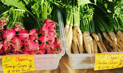 farmers-market-fall-420