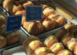 general-porpoise-doughnuts