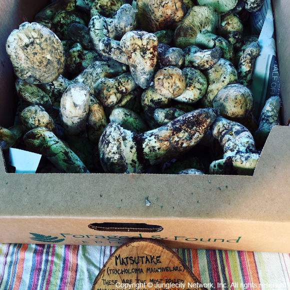 seattle-ud-farmers-market-1