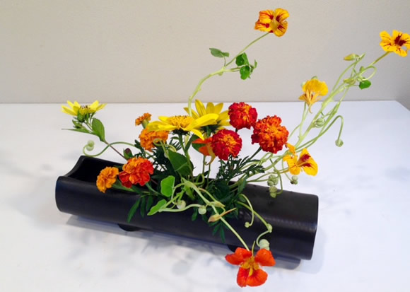 一年草(Annuals)の話