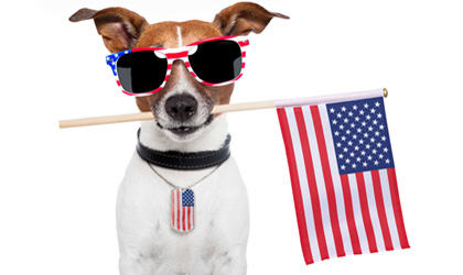 us-holiday-dog-420