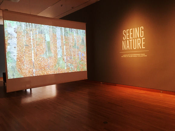 sam-seeing-nature-1 - junglecity.com sam-seeing-nature-1