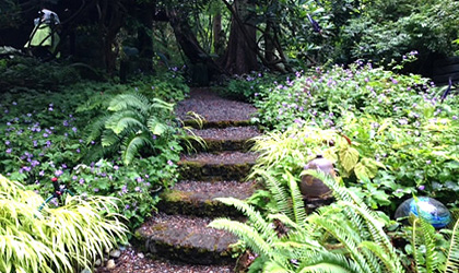 plant-sale-and-garden-tour-420