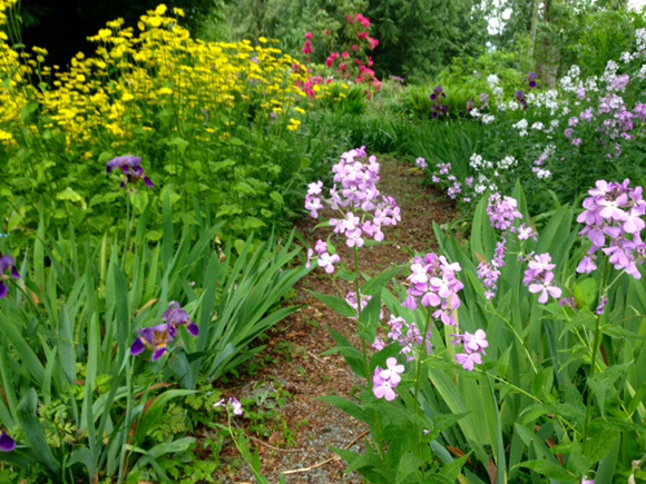nw-gardening-country-garden-1