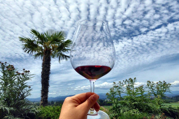 portlander-anne-amie-vineyards