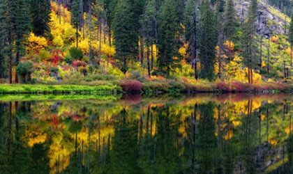 autumn-colors-420