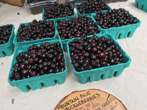 ud-farmers-market-09-16-2017-3