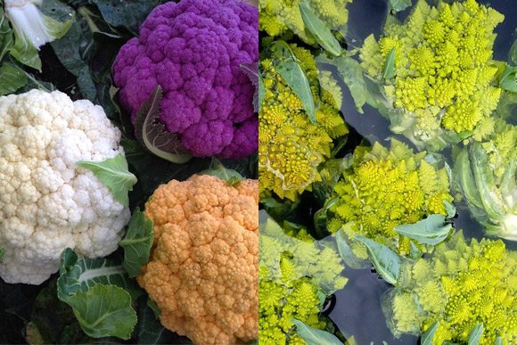 21-acre-food-hub-tour-6