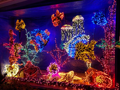 garden-dlights-400