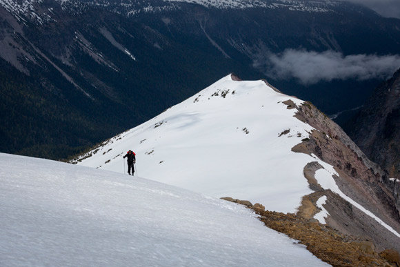 the-pacific-wonderland-1