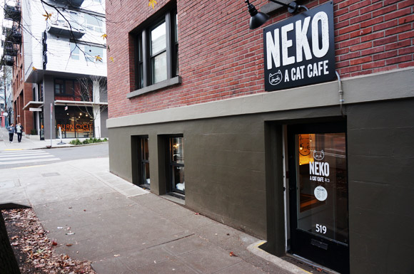 Neko: A Cat Cafe