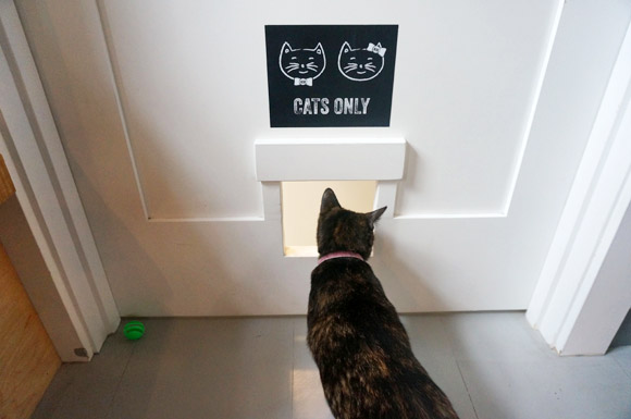 Neko: A Cat Cafe