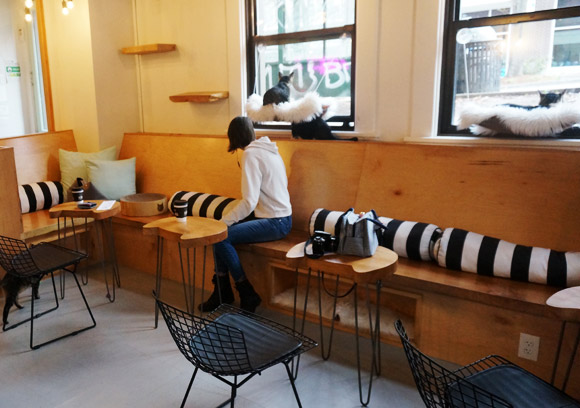Neko: A Cat Cafe