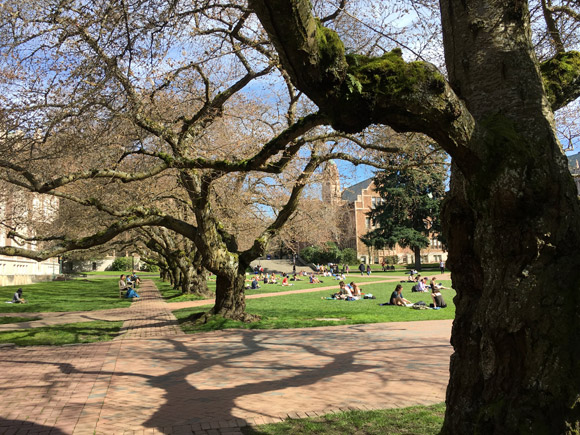 UW