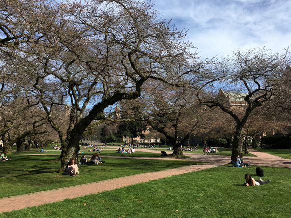 UW