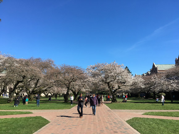 UW