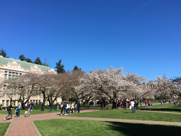 UW