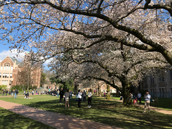 UW