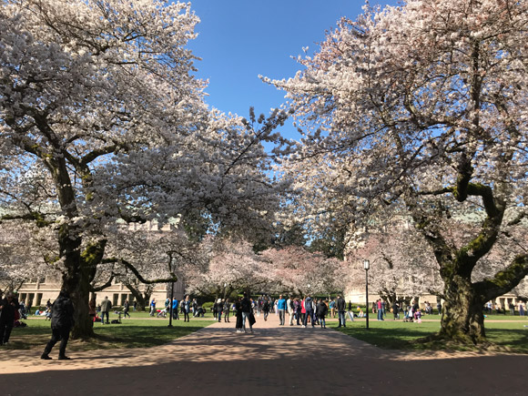 UW