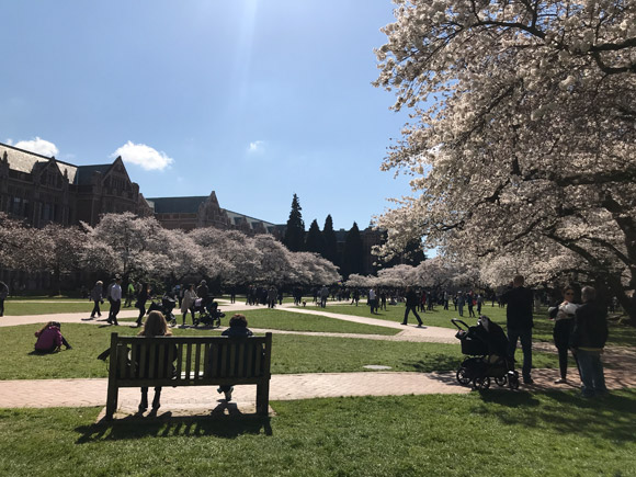 UW