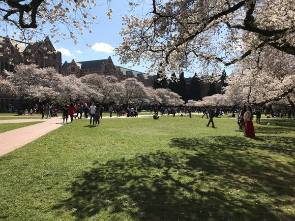 UW