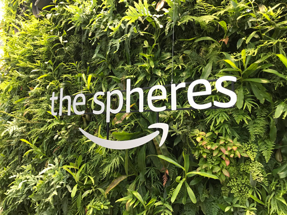 amazon-spheres-1