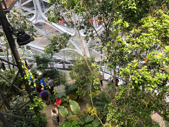 amazon-spheres-6