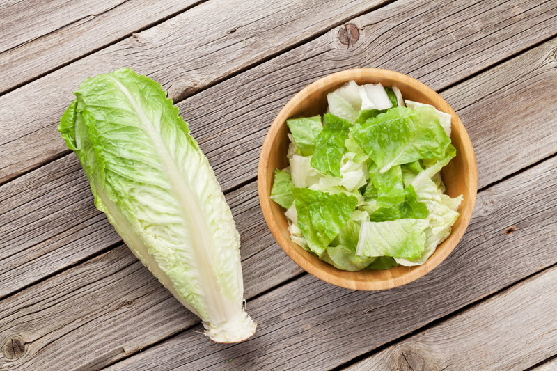 romaine-lettuce-1