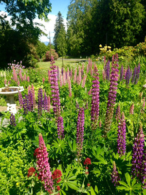 open-garden-1