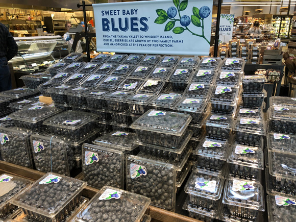 blueberry-1