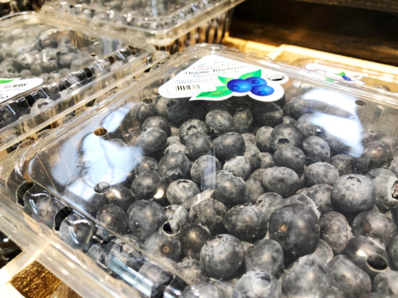 blueberry-2 - junglecity.com