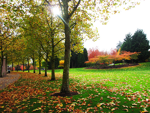 bellevue-downtown-park-2