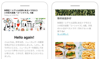 newsletter-sample-420