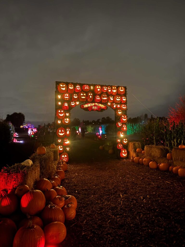 swans-trails-1 - junglecity.com Night view of a pumpkin archway glowing with carved jack-o'-lanterns, pumpkins and hay bales lining a path at a Halloween festival.
