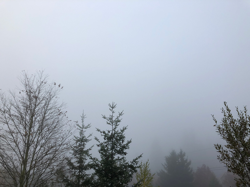 seattle-fog-1